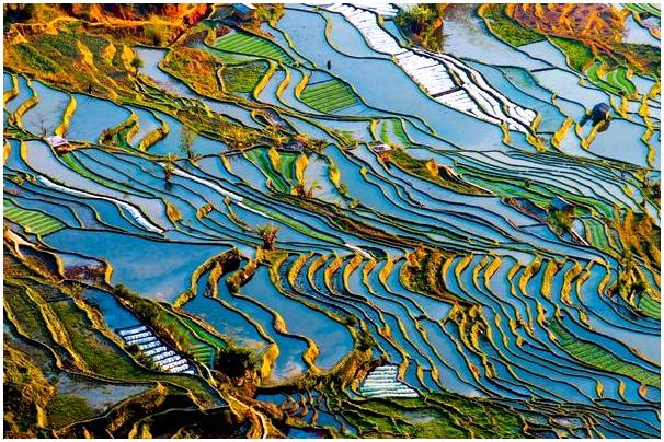 Невероятные виды на рисовые террасы Юаньян в Китае.