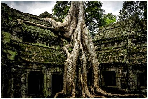 Храмы Камбоджи и их загадки