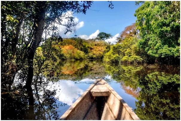 Познакомьтесь с красотой тропических лесов Амазонки в Колумбии.