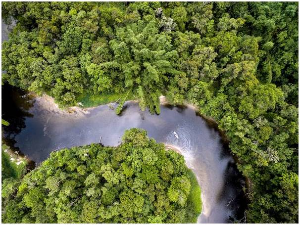 Откройте для себя культуру, реки и природную среду Амазонки.