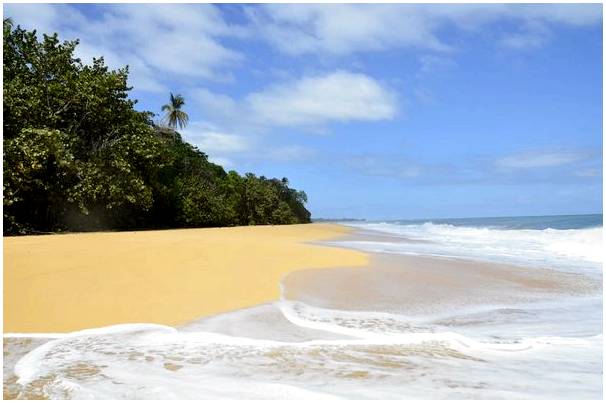 Спланируйте свой отпуск в конце года в Карибском раю