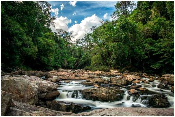 Таман Негара, самые старые джунгли в мире.