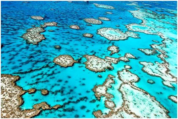 Посетите Большой Барьерный риф в Австралии.