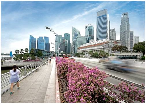 7 диковинок Сингапура, которые вас удивят