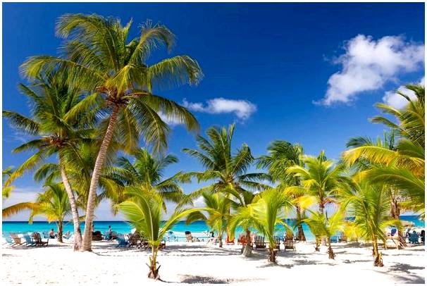 Думаете о путешествии на Карибы? Мы поможем вам это организовать