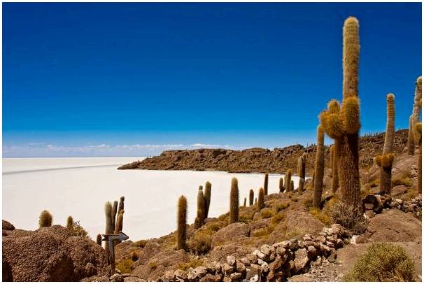 Откройте для себя очарование солончака Уюни в Боливии.