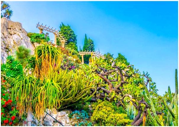 Откройте для себя прекрасный экзотический сад Монако.