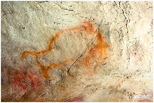 Эти 9 пещер в Кантабрии вернут вас в доисторические времена.