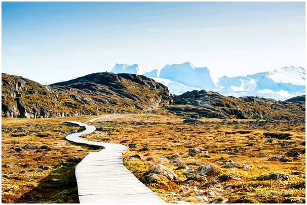 Совершите поездку по природному туризму в Гренландию