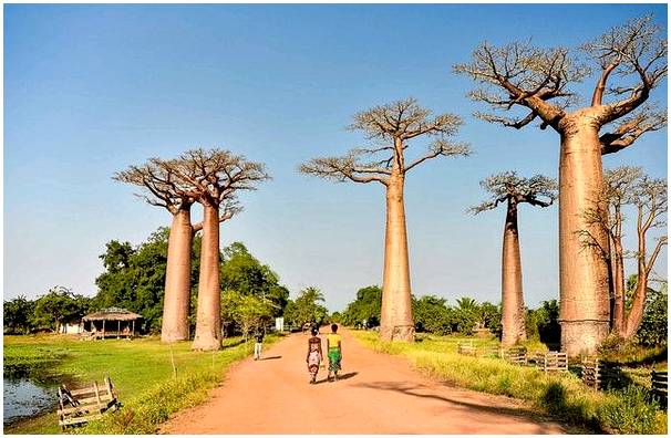 10 африканских пейзажей, которые заставят вздохнуть