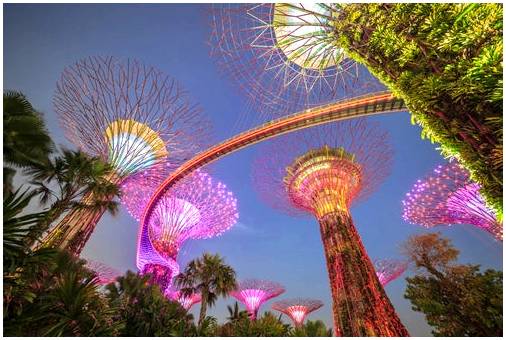 Впечатляющие сады у залива в Сингапуре