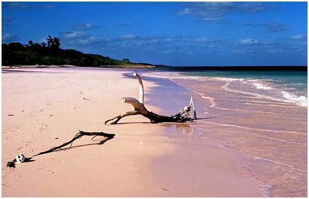 5 мест, которые нужно посетить, если вы поедете на Багамы