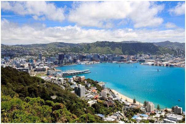 3 идеи чем заняться в Веллингтоне, Новая Зеландия