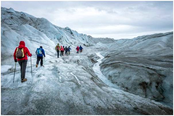 Совершите поездку с природным туризмом в Гренландию