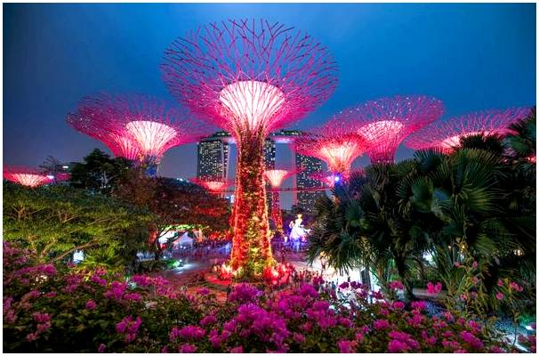 Волшебные деревья садов у залива в Сингапуре