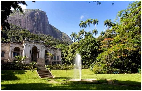 Ботанический сад Рио-де-Жанейро: подлинное чудо