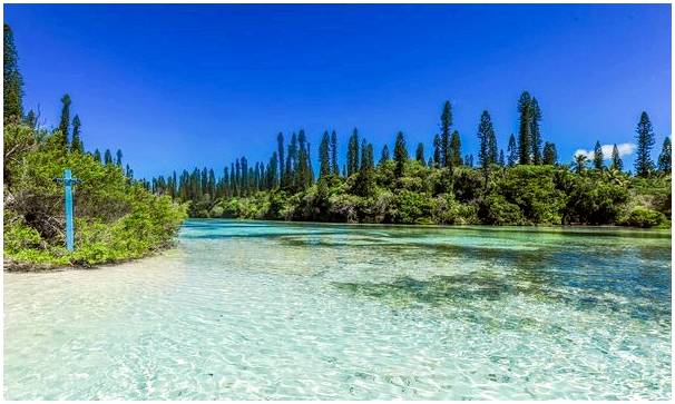 Сосновый остров в Новой Каледонии: райский мир