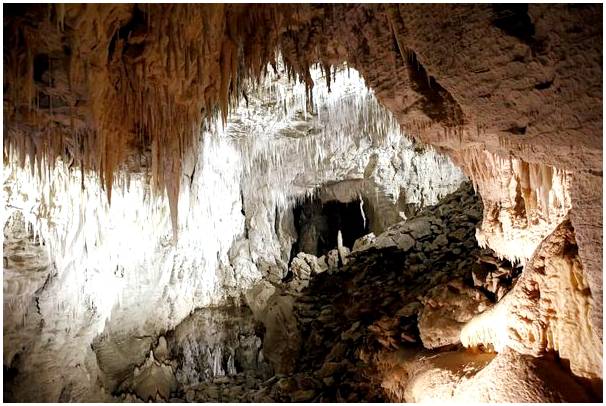 Пещеры Вайтомо и их светящиеся черви