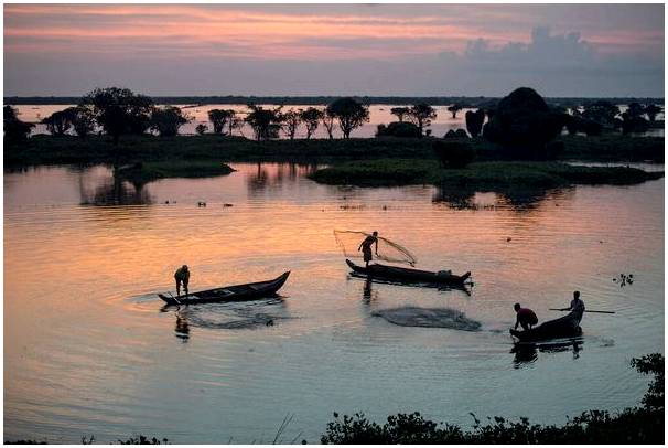 4 диковинки озера Тонлесап в Камбодже