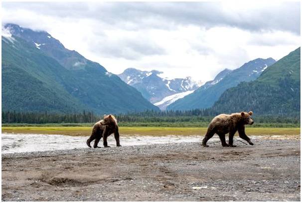 Откройте для себя национальный парк озера Кларк на Аляске