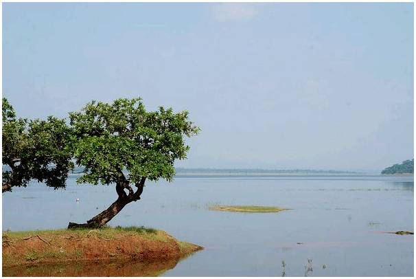 Озеро Пахал в Индии: райское место