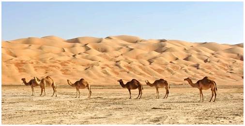 6 крупнейших пустынь мира