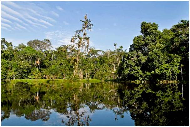 Амазонка в Эквадоре: встречайте прекрасные джунгли