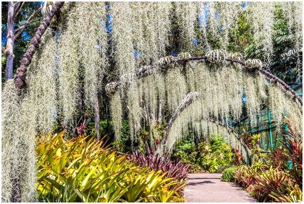Лучшие ботанические сады мира