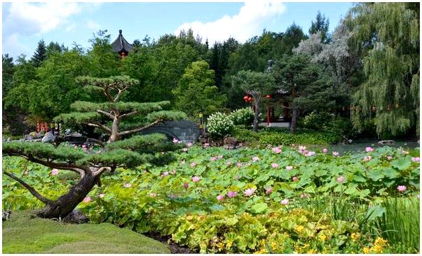 Лучшие ботанические сады мира