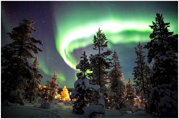 Откройте для себя очаровательных стражей Арктики в Лапландии.