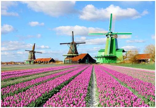 Самые впечатляющие голландские ветряные мельницы