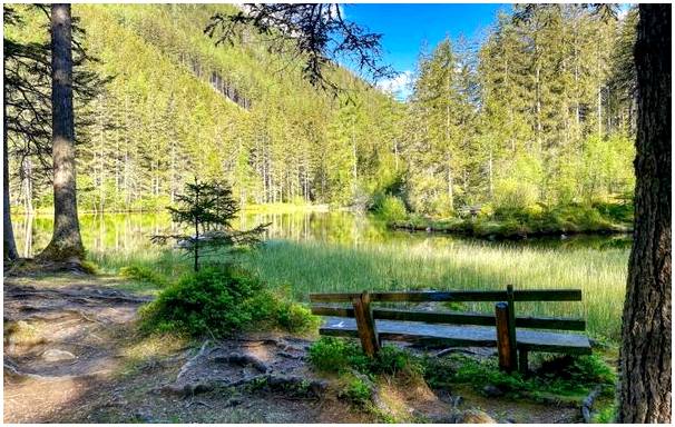 Зеленое озеро или Грюнерзее в Австрии, нереальный альпийский пейзаж.