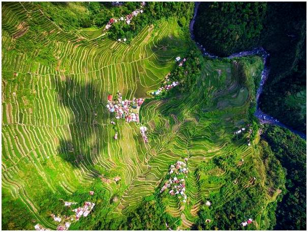 Рисовые террасы на острове Лусон, Филиппины