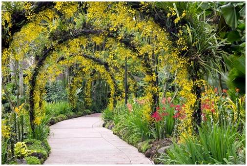 13 самых красивых ботанических садов мира