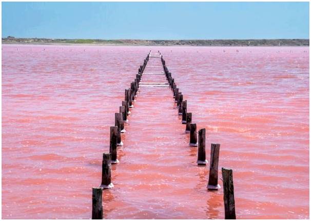 Розовое море, жемчужина Галеразамбы