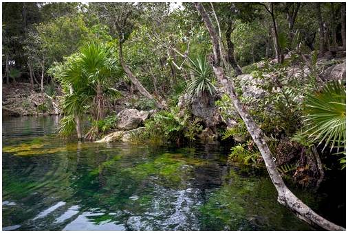 Национальный парк Тулум в Мексике, история и природа