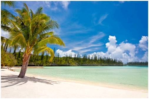 Мы открываем для себя невероятные пейзажи Новой Каледонии.