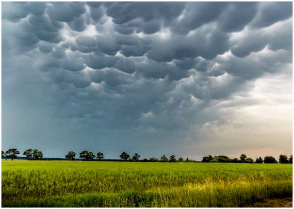 Облака мамматусов в Техасе: почему они образуются?
