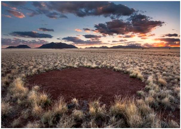 Сказочные круги Намибии, уникальное зрелище