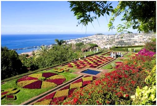 Мадейра, остров вечной весны