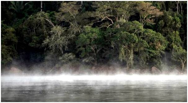 Кипящая река Амазонки: все, что вам нужно знать