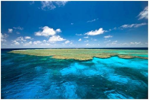 Большой Барьерный риф, впечатляющее произведение природы