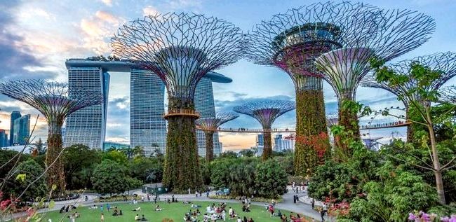 Зелёный Сингапур