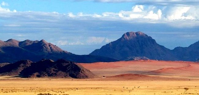 10 лучших сафари в Намибии