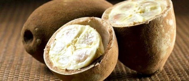 Масло купуасу: свойства и применение в косметике